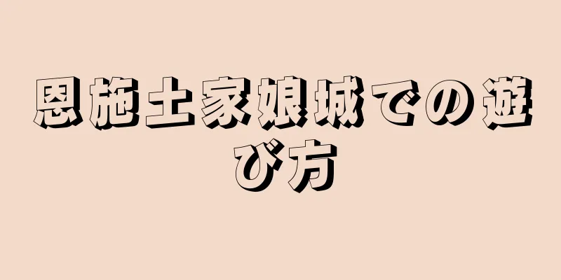 恩施土家娘城での遊び方