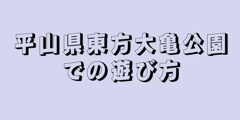 平山県東方大亀公園での遊び方