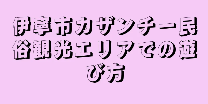 伊寧市カザンチー民俗観光エリアでの遊び方