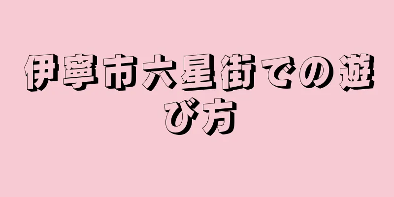 伊寧市六星街での遊び方