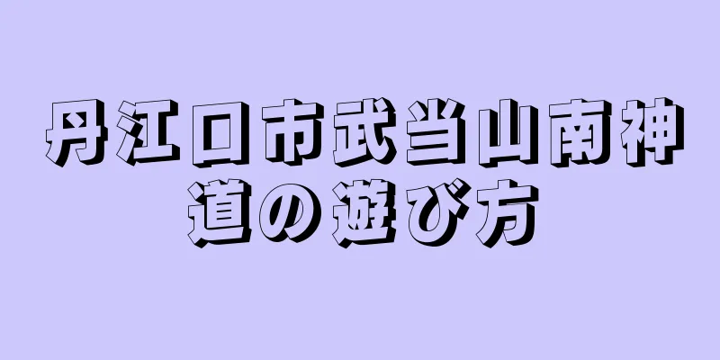 丹江口市武当山南神道の遊び方