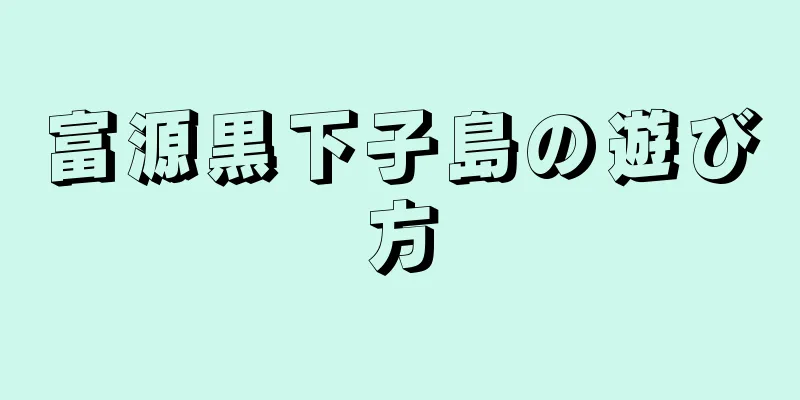 富源黒下子島の遊び方