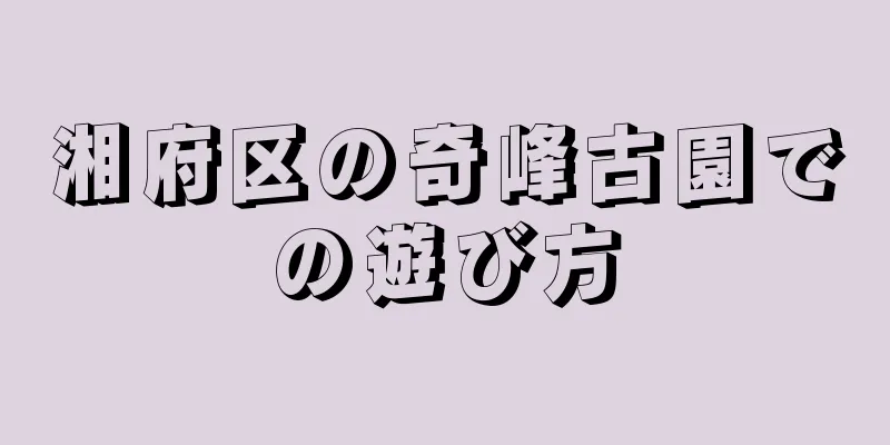 湘府区の奇峰古園での遊び方