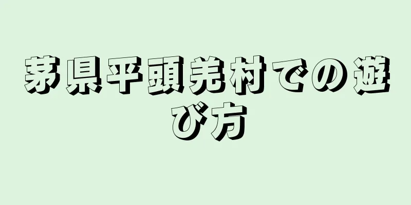 茅県平頭羌村での遊び方