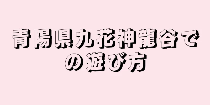 青陽県九花神龍谷での遊び方