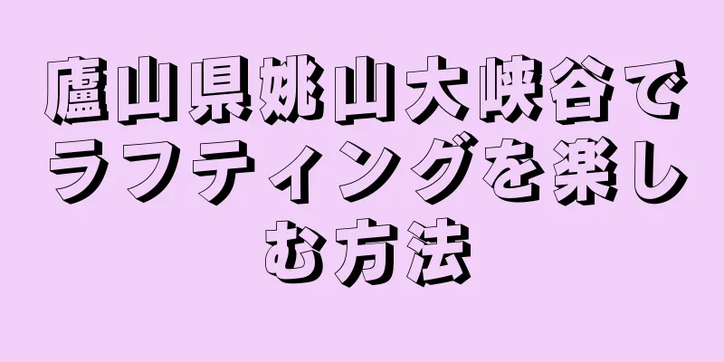 廬山県姚山大峡谷でラフティングを楽しむ方法
