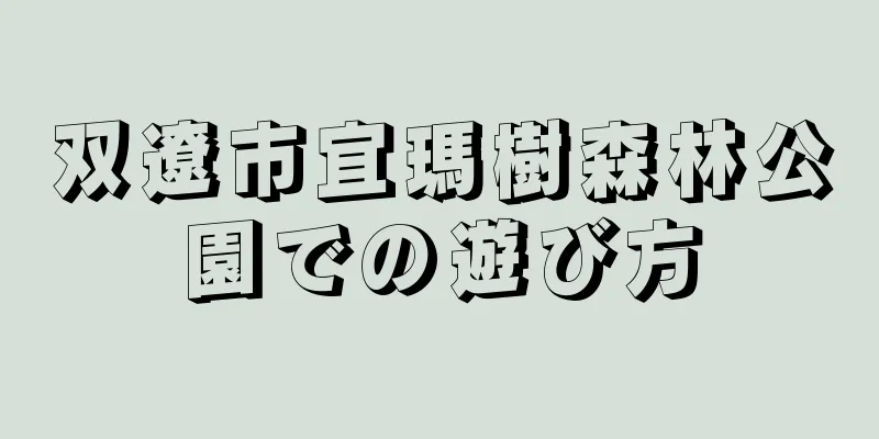 双遼市宜瑪樹森林公園での遊び方