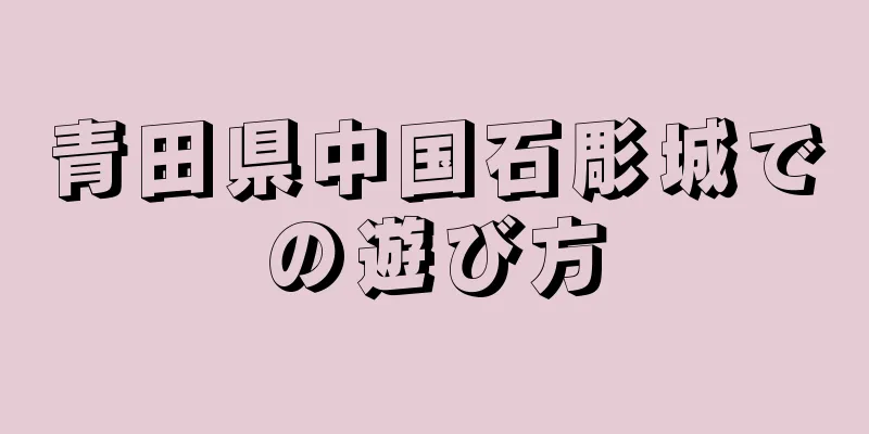 青田県中国石彫城での遊び方