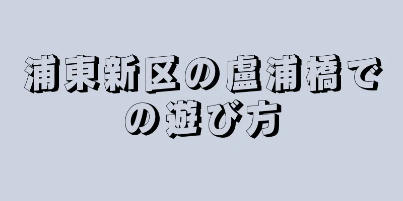 浦東新区の盧浦橋での遊び方