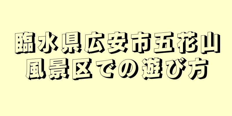 臨水県広安市五花山風景区での遊び方