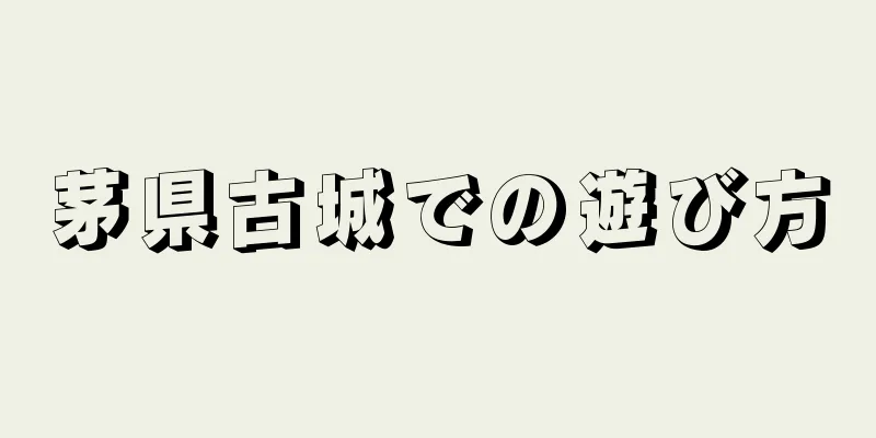 茅県古城での遊び方