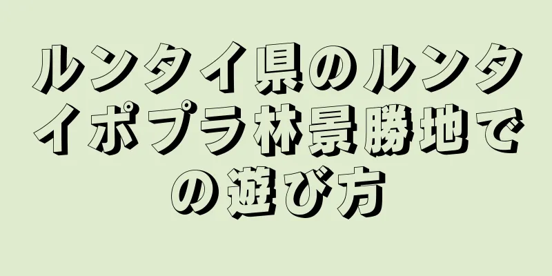 ルンタイ県のルンタイポプラ林景勝地での遊び方