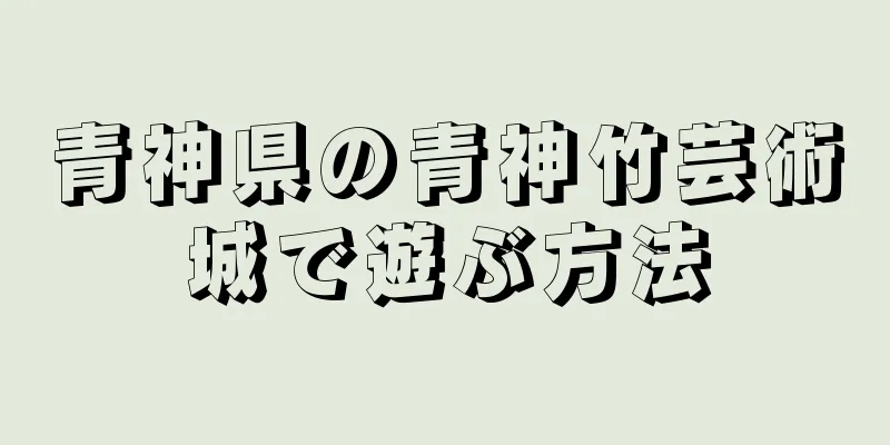 青神県の青神竹芸術城で遊ぶ方法