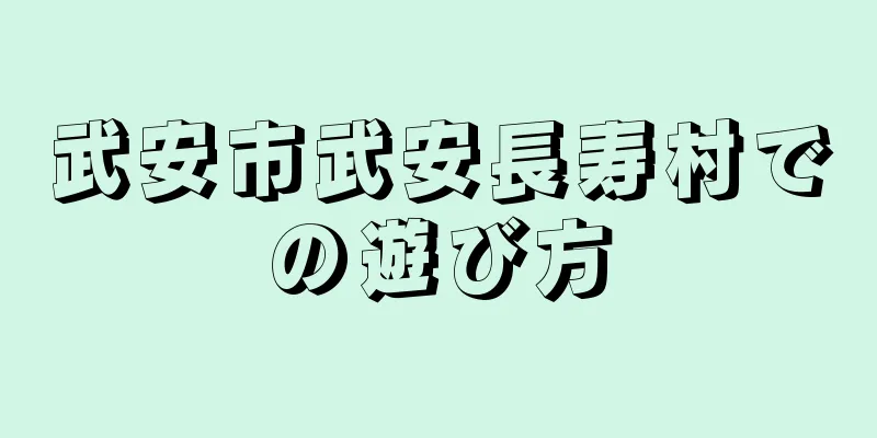 武安市武安長寿村での遊び方