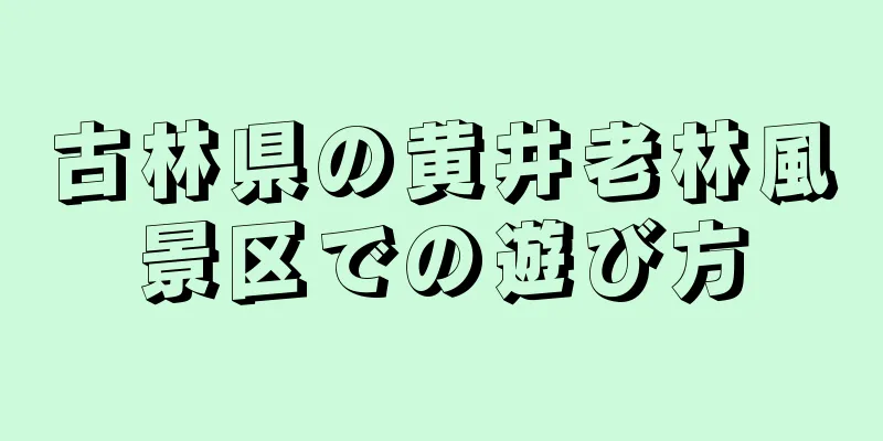 古林県の黄井老林風景区での遊び方