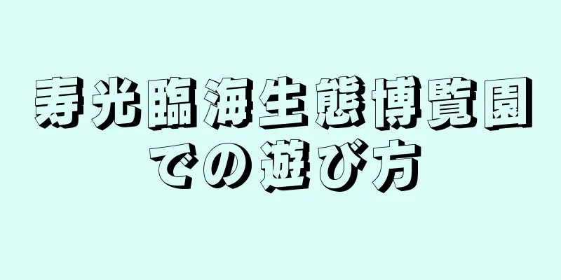 寿光臨海生態博覧園での遊び方