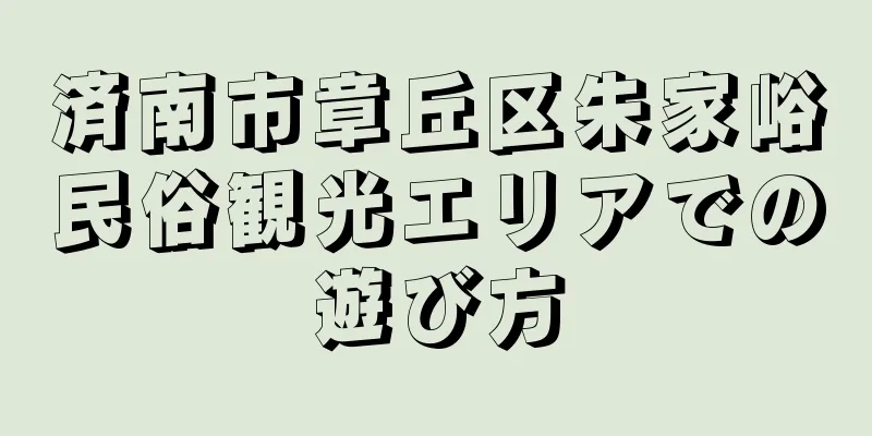 済南市章丘区朱家峪民俗観光エリアでの遊び方