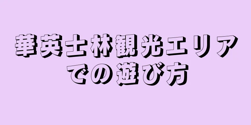 華英士林観光エリアでの遊び方