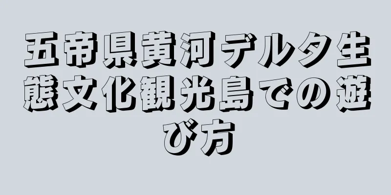 五帝県黄河デルタ生態文化観光島での遊び方
