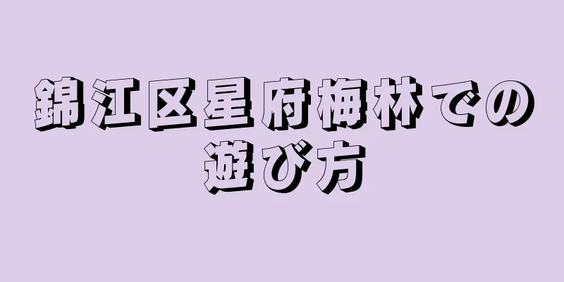 錦江区星府梅林での遊び方