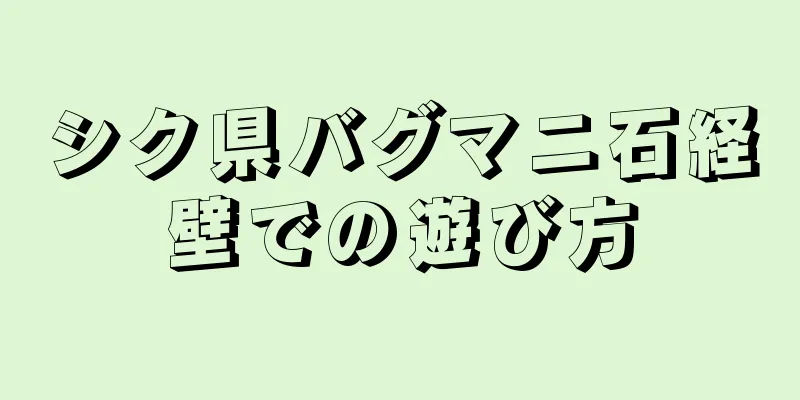 シク県バグマニ石経壁での遊び方