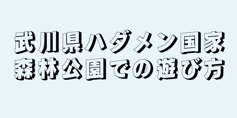 武川県ハダメン国家森林公園での遊び方