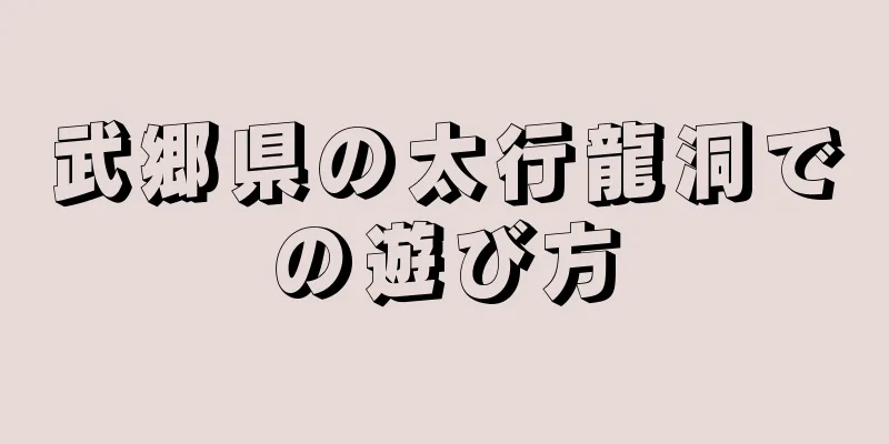 武郷県の太行龍洞での遊び方