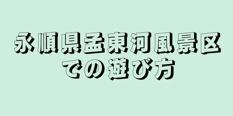 永順県孟東河風景区での遊び方