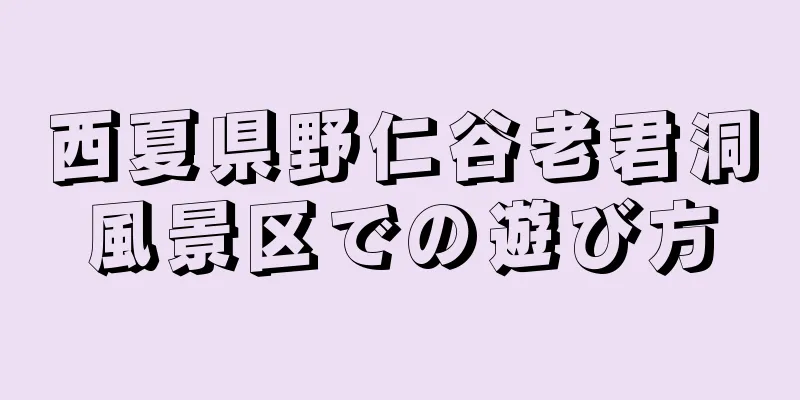 西夏県野仁谷老君洞風景区での遊び方