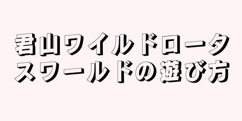君山ワイルドロータスワールドの遊び方