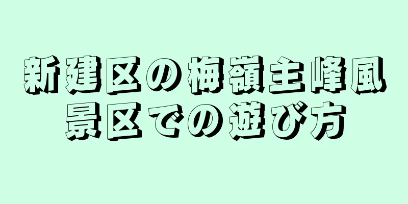 新建区の梅嶺主峰風景区での遊び方