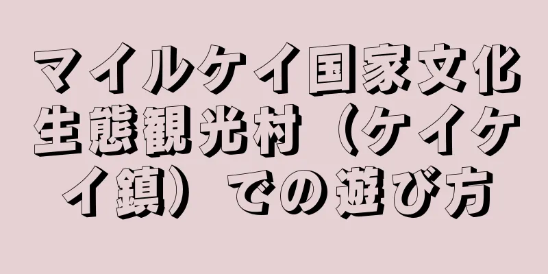 マイルケイ国家文化生態観光村（ケイケイ鎮）での遊び方