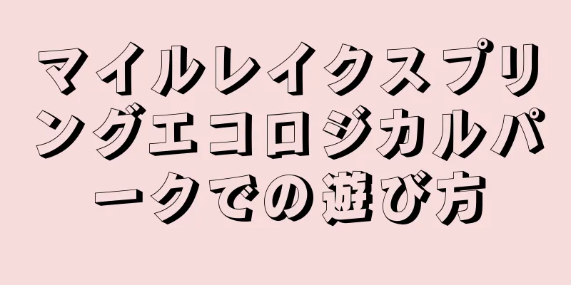 マイルレイクスプリングエコロジカルパークでの遊び方