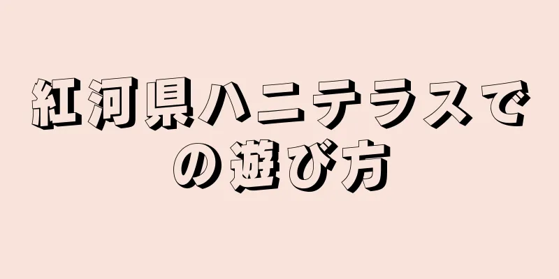 紅河県ハニテラスでの遊び方