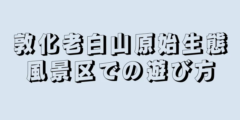 敦化老白山原始生態風景区での遊び方
