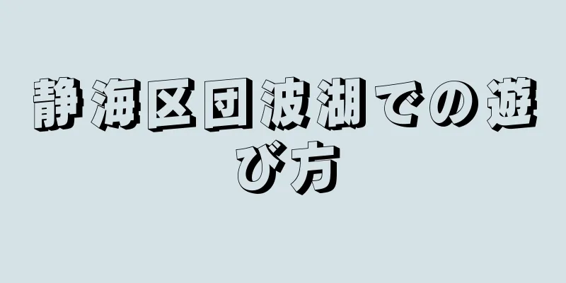 静海区団波湖での遊び方