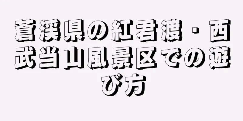 蒼渓県の紅君渡・西武当山風景区での遊び方
