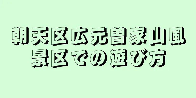 朝天区広元曽家山風景区での遊び方