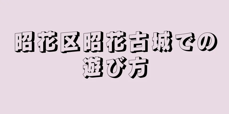 昭花区昭花古城での遊び方