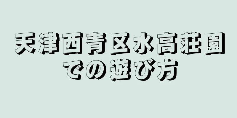 天津西青区水高荘園での遊び方