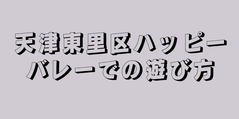 天津東里区ハッピーバレーでの遊び方