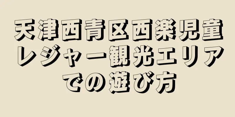 天津西青区西楽児童レジャー観光エリアでの遊び方