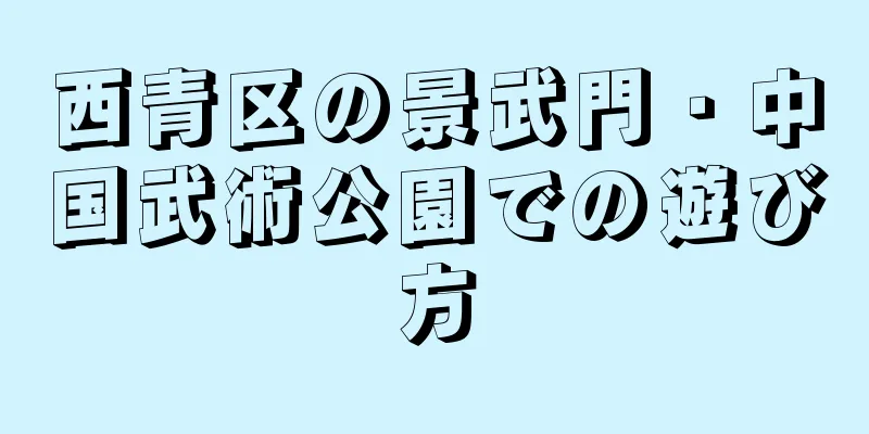西青区の景武門・中国武術公園での遊び方