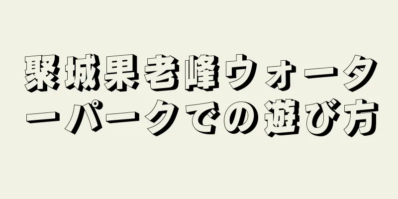 聚城果老峰ウォーターパークでの遊び方