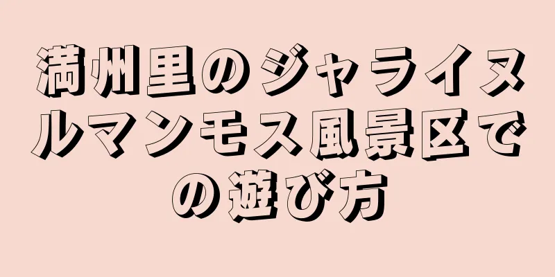満州里のジャライヌルマンモス風景区での遊び方