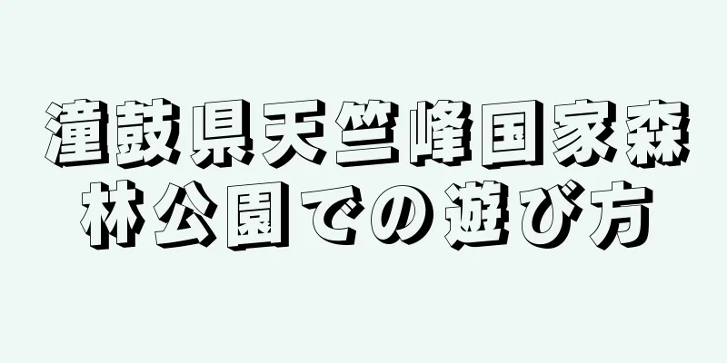 潼鼓県天竺峰国家森林公園での遊び方