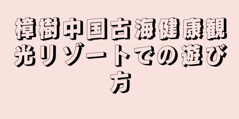 樟樹中国古海健康観光リゾートでの遊び方