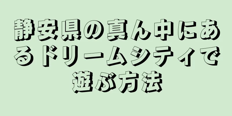 静安県の真ん中にあるドリームシティで遊ぶ方法