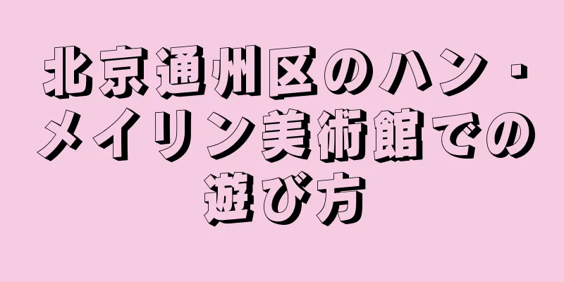 北京通州区のハン・メイリン美術館での遊び方