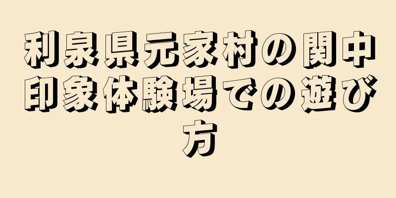 利泉県元家村の関中印象体験場での遊び方